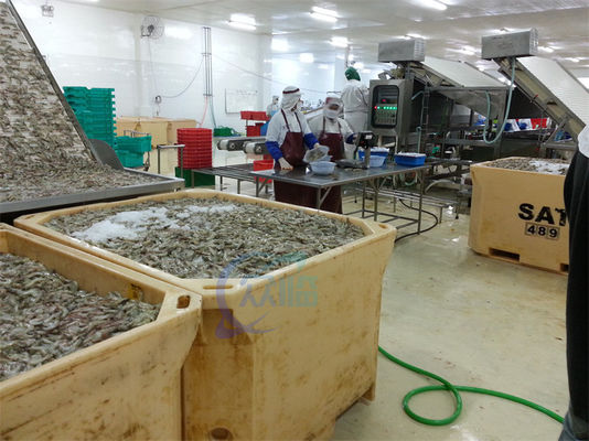 4.9KW Practical Fish Grading Machine , Automatic Fish Sorting Equipment
