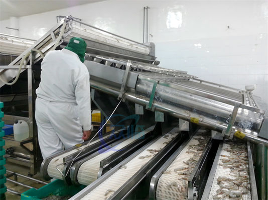 4.9KW Practical Fish Grading Machine , Automatic Fish Sorting Equipment