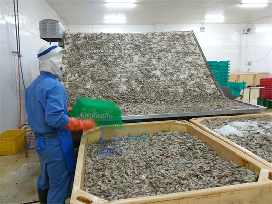 4.9KW Practical Fish Grading Machine , Automatic Fish Sorting Equipment