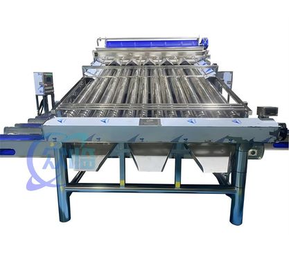 4900W SUS304 Karides sınıflandırma makinesi, dayanıklı karides yıkama sınıflandırma makinesi