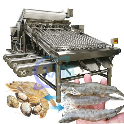 Paslanmaz çelik karides sınıflandırma makinesi pratik 6000x4000x2200mm