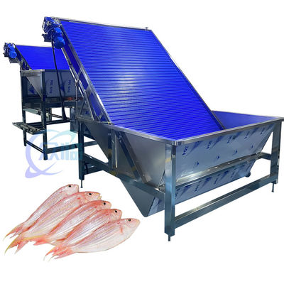 Korrozyona Karşı Karides Sıralama Makinesi Multiscene Pratik 4.9KW