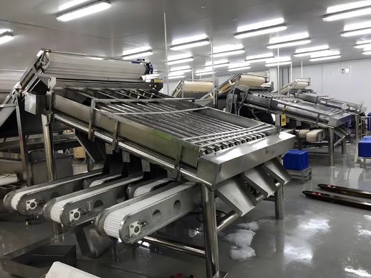 3P dayanıklı karides sınıflandırma makinesi, erozyona karşı karides sınıflandırma ekipmanları