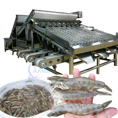 1500KG Balık Karides sınıflandırma makinesi endüstriyel için çok amaçlı