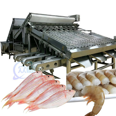 ISO 1500KG Deniz ürünleri sıralama makinesi, çok fonksiyonel balık boyutu sıralayıcı