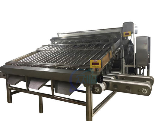 4.9KW dayanıklı karides sınıflandırma makinesi karides boyutlandırma için otomatik