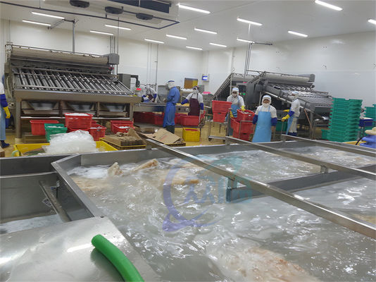 İyi bir fiyat. ISO Endüstriyel Otomatik Balık İşleme, Çok Fonksiyonlu Deniz Ürünleri İşleme Tesisi çevrimiçi