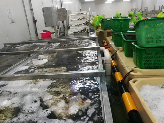 İyi bir fiyat. SUS304 Sabit Balık İşleme Makinesi Karides temizliği için su geçirmez çevrimiçi