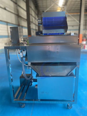 1500W sabit balık işleme tesisi ekipmanları, endüstriyel karides bıyık ayırıcı