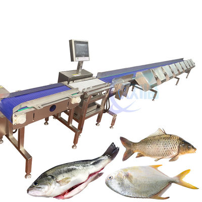Tam otomatik balık ağırlığı sıralama makinesi gıda taşıyıcı tartı