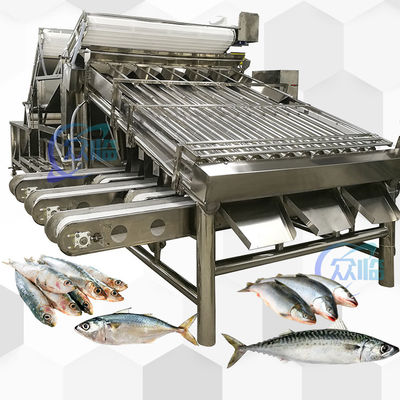 İyi bir fiyat. Yüksek Hızlı Saury Sıralama Makinesi Saury Roller Sıralayıcı 5 kişilik Operatör çevrimiçi