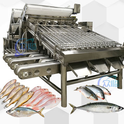 Paslanmaz çelik 304 Sarı Croaker Grader 12pcs Roller Sardine Makrel Grader