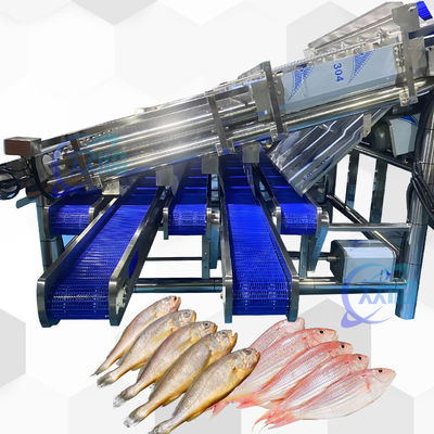 İyi bir fiyat. 18pcs Roller SS304 Küçük Balık Sıralama Makinesi Küçük Balık Sıralama Liniyası çevrimiçi