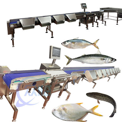 İyi bir fiyat. İyi Fiyat Tilapia Sınıflandırıcı Tilapia Sorter Tilapia Sizer Tilapia Çin'den Sınıflandırma çevrimiçi