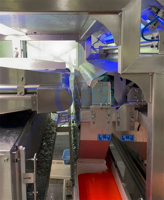 Shrimp head and shell sorting machine cleaning machine processing plant assembly line Shrimp head removed