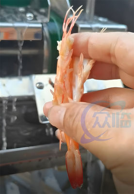 İyi bir fiyat. Sıcak Satış Karides Kesme Makinesi Karides EBI Kesici Karides Göbek Kesici çevrimiçi