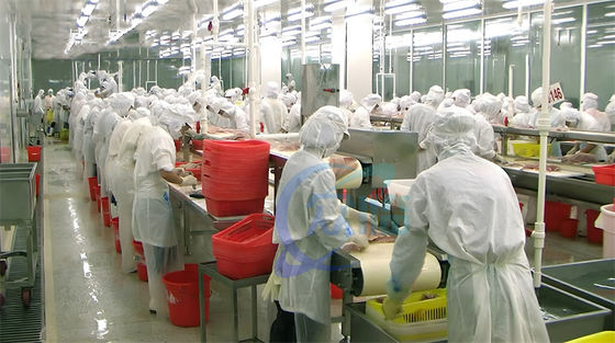 Birçok vaka Sıcak Satış Tilapia Peeling Makinesi 0.75KW Tilapia Derisi Yüksek Sabit