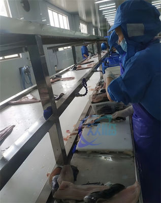 İyi bir fiyat. Profesyonel Paslanmaz Çelik 304 Tilapia Derileme Makinesi 0.75KW Tilapia Peeling Makinesi çevrimiçi