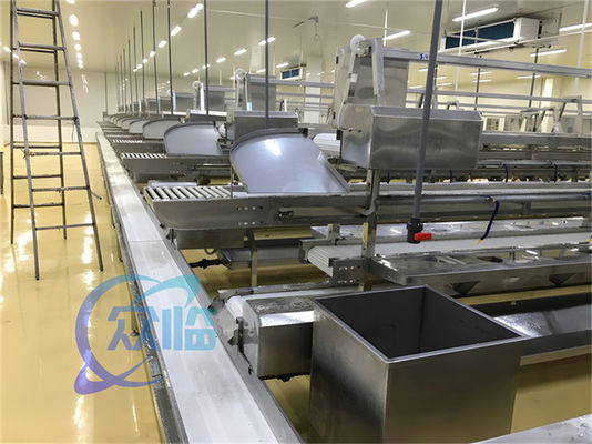 İyi bir fiyat. 1506kg Deniz ürünleri üretim hattı Paslanmaz çelik Özel çalışma masası Balık ve Karides işleme hattı Taşıyıcı kemer çevrimiçi