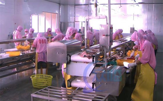 İyi bir fiyat. Balık ve Karides İşleme Makinesi Taşıyıcı Kemeri Deniz Ürünleri Fabrikası Çalışma Masası Karides İşleme hattı çevrimiçi