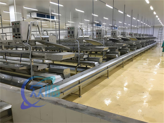 İyi bir fiyat. 3.10KW Konveyör balık işleme hattı Balık Descaling Üretim hattı Kedim balığı Skinne çevrimiçi