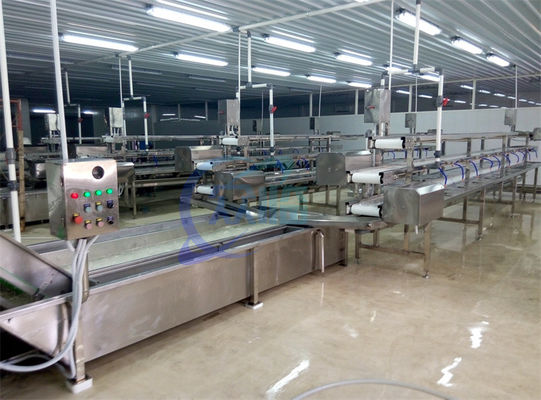 2.22KW SS Meyve ve sebze işleme üretim hattı için çamaşır makinesi