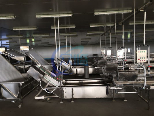 Otomatik Deniz Ürünleri Balıkları Yüksek Basınçlı Kabarcık Yıkama Makinesi Karides Temizleme Makinesi Çözülme konveyör bandı