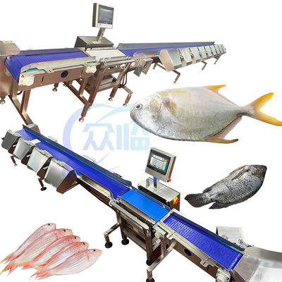 İyi bir fiyat. 1.32KW 1g Minimum Scale Basa Sizing Machine Bass Sorting Machine (Minimum Ölçekli Bas Boyutlandırma Makinesi) çevrimiçi