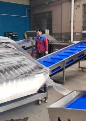Otomatik Balık Sınıflandırma Lini için Büyük Kapasiteli 5-10T/H Pelajik Balık Sınıflandırıcı