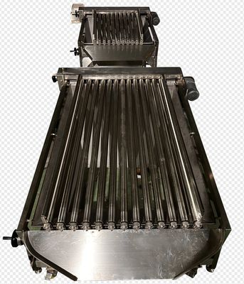 Dört model otomatik balık sınıflandırma makinesi ve büyüklüğü yüksek sabit küçük balık