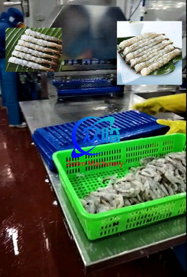 Otomatik Tempura Karides uzatma makinesi, NOBASHI makinesi, Karides uzatma hattı