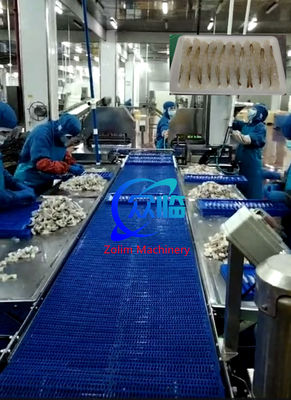 Yeni tasarım karides germe hattı, Tempura işleme hattı, NOBASHI işleme