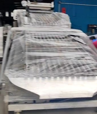 Otomatik ile küçük balıkları sıralamak için özel PLC kontrol balık sınıflandırma ekipman