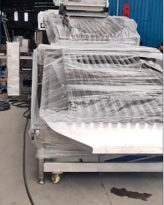 Dört Model Otomatik Balık Boyutlama Makinesi Ve Soring Sarı Croaker Yüksek Sabit