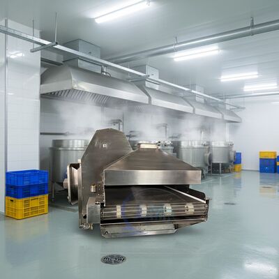 İyi bir fiyat. CE Deniz Ürünleri İşleme için Blanching Makinesi Dayanıklı Pişirme Ekipmanı Balık Deniz Ürünleri Pişirme hattı için Otomatik Pişirme Tüneli çevrimiçi