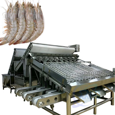 İyi bir fiyat. Zolim 4.9KW Otomatik Karides Sınıflandırma ve Sınıflandırma Makinesi 380V 1000-2000kg/h Kapasite Erozyon Karşıtı Rol Sınıflandırıcı çevrimiçi