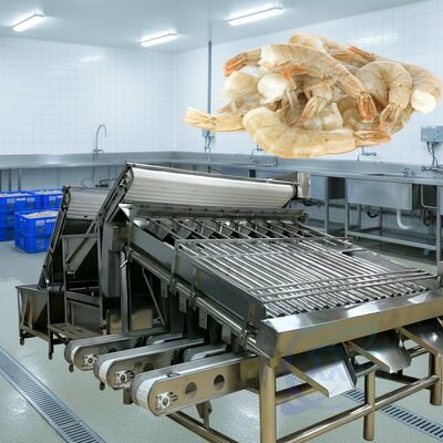 İyi bir fiyat. Dayanıklı Rulo Karides Sıralama Makinesi 1500kg-2000kg/H Rulo Karides Sıralayıcı Deniz ürünleri için Yüksek Sabit Rulo Karides Boyutlandırma Makinesi çevrimiçi