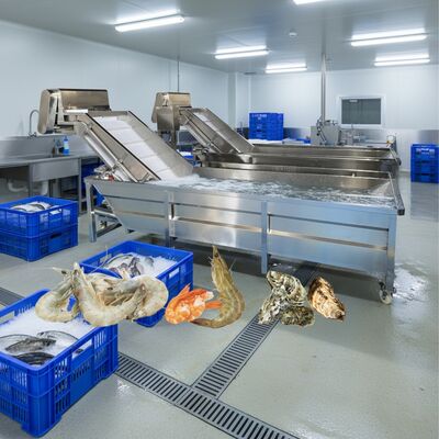 İyi bir fiyat. Deniz ürünleri için Zolim Bubble yıkama makinesi 2.2kw Balık temizleme makinesi Deniz ürünleri işleme fabrikası için akıllı karides yıkama makinesi çevrimiçi