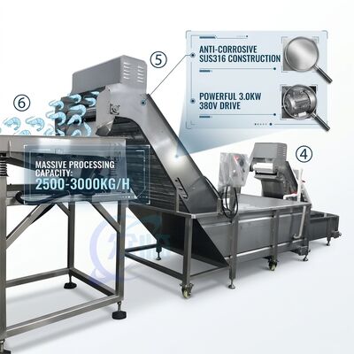 İyi bir fiyat. Ağır Hizmet Karides Ayıklama Üretim Hattı Hassas SUS316 1000-1500KG 11.7KW 415V çevrimiçi