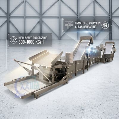 İyi bir fiyat. SUS316 Shrimp Deheading System Food Grade SUS304 800-1000KG 3.0KW 415V For Fish Processing Plant çevrimiçi