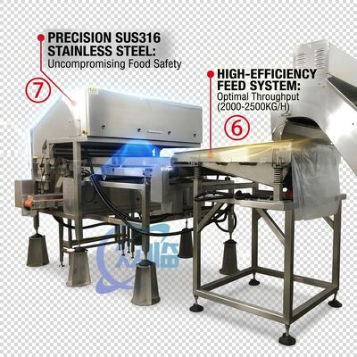İyi bir fiyat. Rugged Shrimp Head Separator SUS304 Stainless Steel 800-1000KG 15KW 440V For Shrimp Processing Plant çevrimiçi