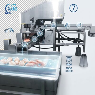İyi bir fiyat. High Output Shrimp Processing Machine Hygienic SUS304 500-800KG 0.8KW 220V For Seafood Export Company çevrimiçi