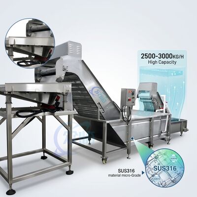 İyi bir fiyat. Çok Sahne Karides Ayıklama Makinesi SUS304 Paslanmaz Çelik 1500-2000KG 3.0KW 380V çevrimiçi