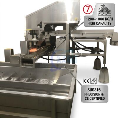 İyi bir fiyat. Uzun Ömürlü Otomatik Karides Ayıklama Sistemi SUS316L 2000-2500KG 3.0KW 415V Catering Fabrikası İçin çevrimiçi