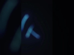 380V deniz ürünleri mürekkepbalığı temizleme makinesi su geçirmez korozyona karşı